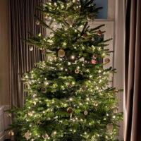 Nordmann Nature Line 1st Class Kerstboom